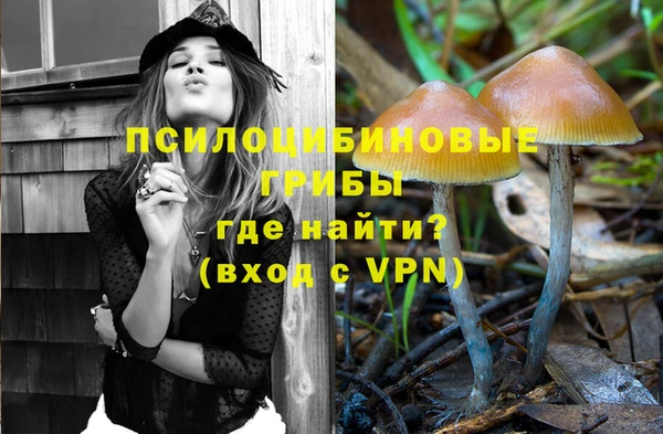 MDMA Premium VHQ Карпинск