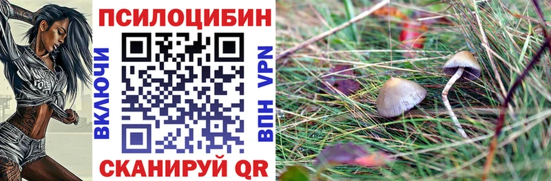 Псилоцибиновые грибы мицелий  Купить закладки  Вилючинск 