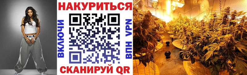 Купить закладки  Вилючинск  Шишки марихуана Bruce Banner 
